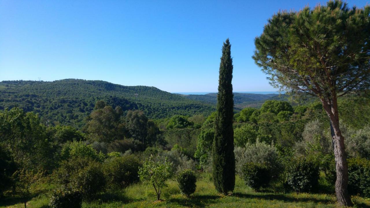 Villa Degli Olmi Allumiere Exteriér fotografie