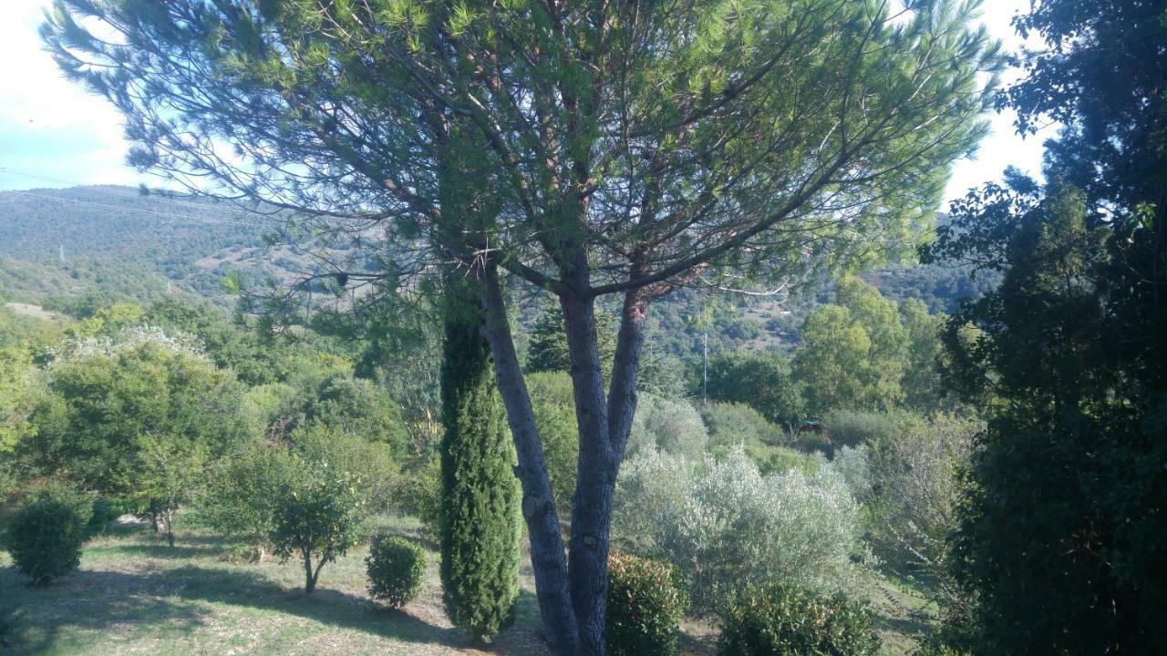 Villa Degli Olmi Allumiere Exteriér fotografie