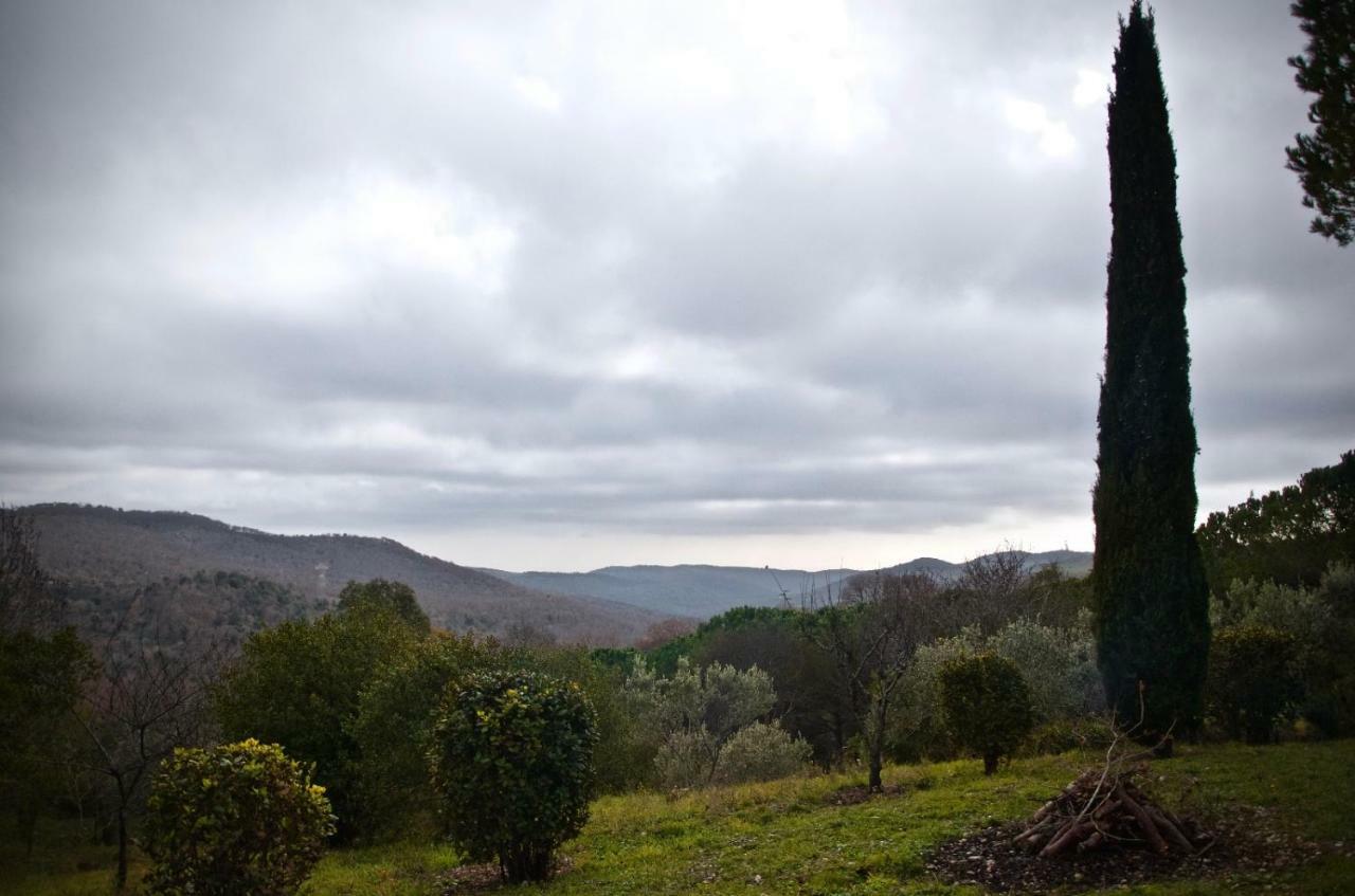 Villa Degli Olmi Allumiere Exteriér fotografie